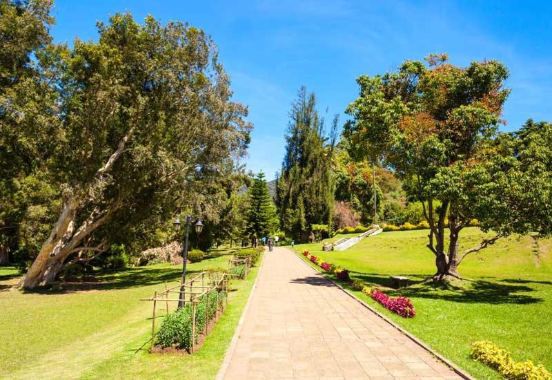 Green Mount View Two Bed Room Apartment นูวาราเอลิยา ภายนอก รูปภาพ